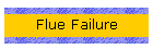 Flue Failure