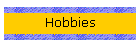 Hobbies