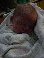 dave005019.jpg