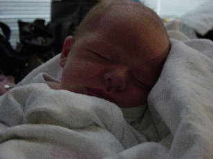 dave005021.jpg