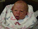 dave006035.jpg