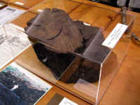 P1010320_e.jpg (81253 bytes)